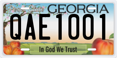 GA license plate QAE1001