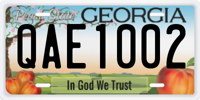 GA license plate QAE1002