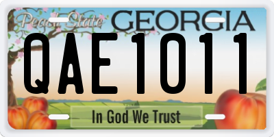 GA license plate QAE1011