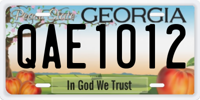 GA license plate QAE1012