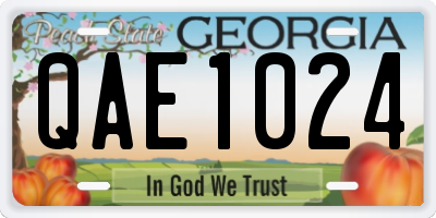 GA license plate QAE1024