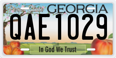 GA license plate QAE1029