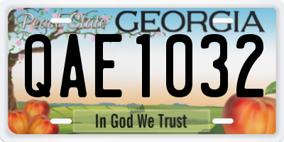 GA license plate QAE1032
