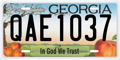 GA license plate QAE1037