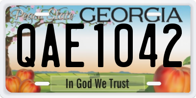 GA license plate QAE1042