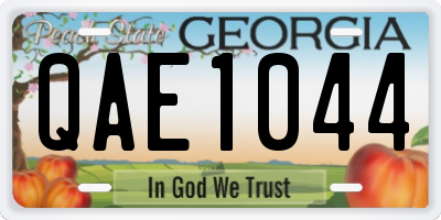 GA license plate QAE1044