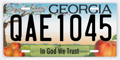 GA license plate QAE1045
