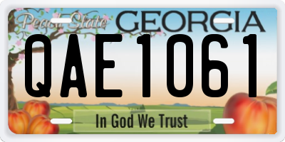 GA license plate QAE1061