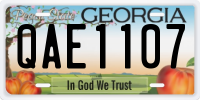 GA license plate QAE1107
