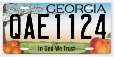 GA license plate QAE1124
