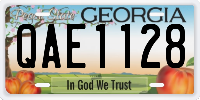 GA license plate QAE1128