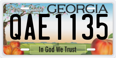 GA license plate QAE1135