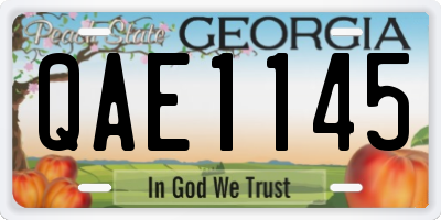 GA license plate QAE1145