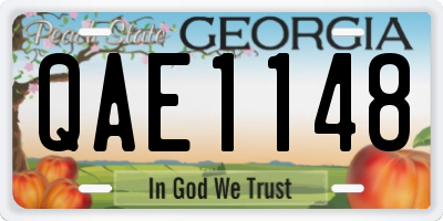 GA license plate QAE1148