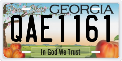 GA license plate QAE1161