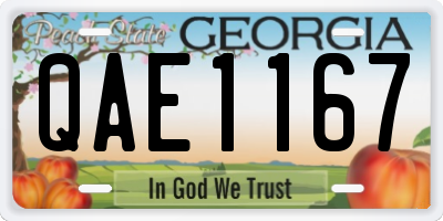 GA license plate QAE1167
