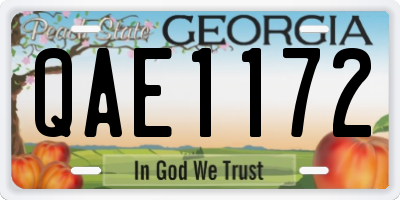 GA license plate QAE1172