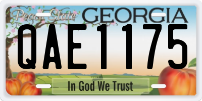 GA license plate QAE1175