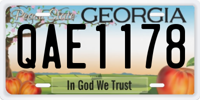 GA license plate QAE1178