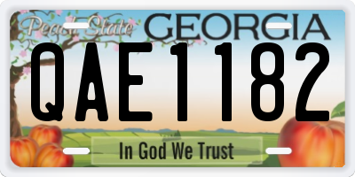 GA license plate QAE1182