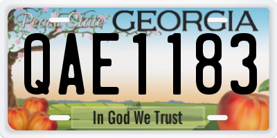 GA license plate QAE1183