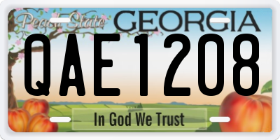 GA license plate QAE1208