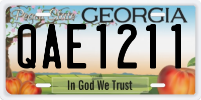 GA license plate QAE1211