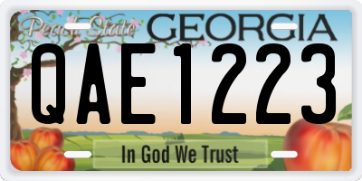 GA license plate QAE1223