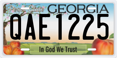 GA license plate QAE1225