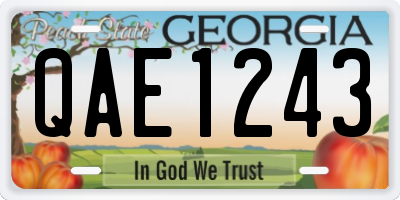 GA license plate QAE1243