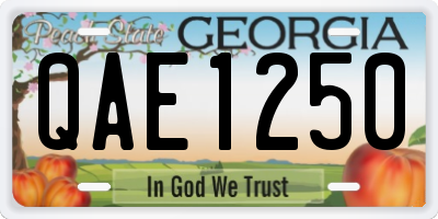 GA license plate QAE1250