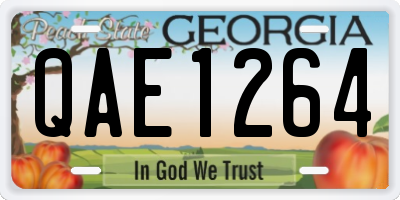 GA license plate QAE1264