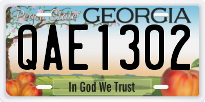GA license plate QAE1302