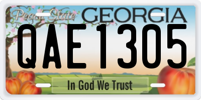 GA license plate QAE1305