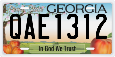 GA license plate QAE1312
