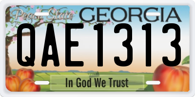 GA license plate QAE1313