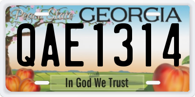 GA license plate QAE1314