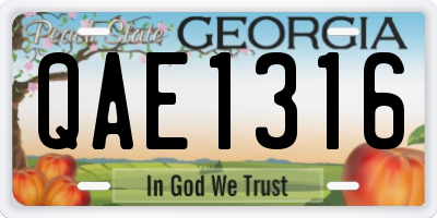 GA license plate QAE1316