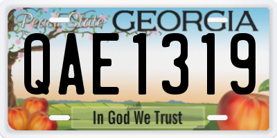 GA license plate QAE1319