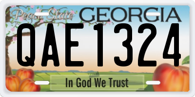 GA license plate QAE1324