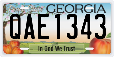 GA license plate QAE1343