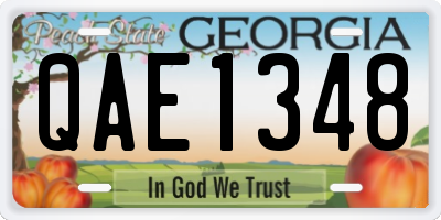 GA license plate QAE1348