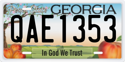GA license plate QAE1353