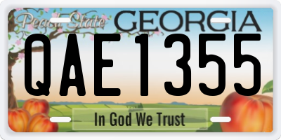 GA license plate QAE1355
