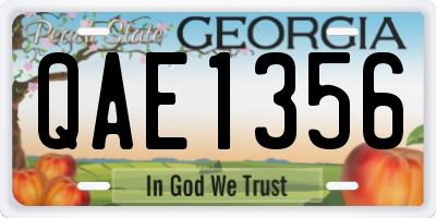 GA license plate QAE1356