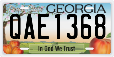 GA license plate QAE1368