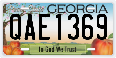 GA license plate QAE1369