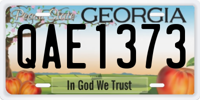 GA license plate QAE1373