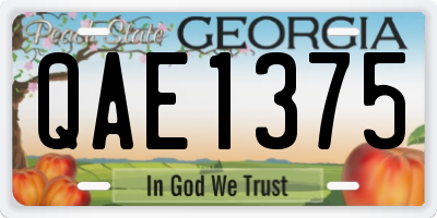 GA license plate QAE1375