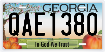 GA license plate QAE1380